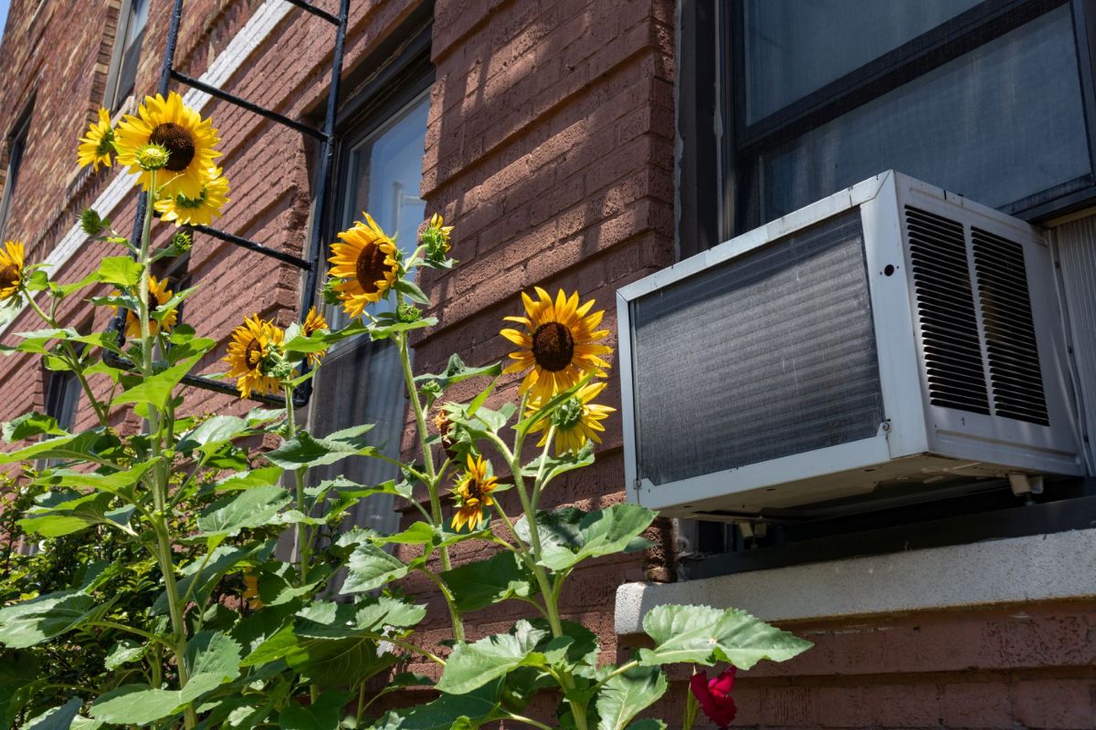 A window AC unit in a New York City apartment.