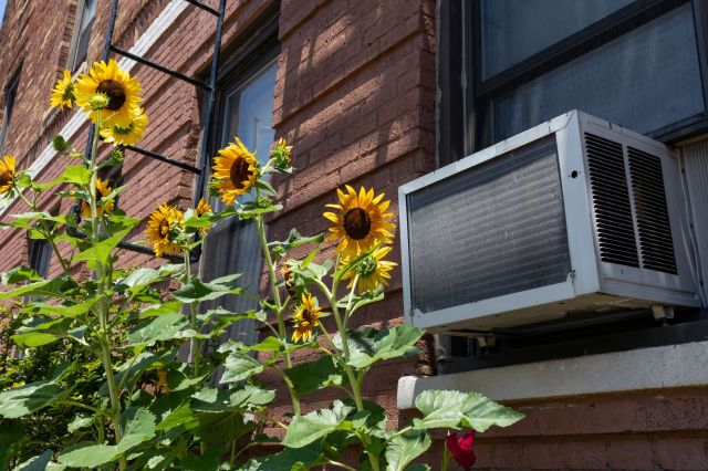 A window AC unit in a New York City apartment.