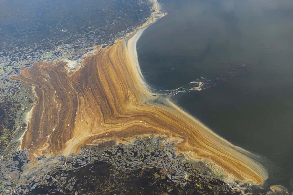 A close-up view of a water surface showing swirling patterns of brown and dark oil.