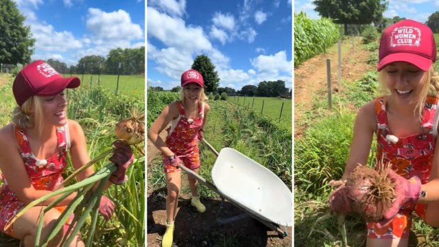 A gardener harvests and shows off onions.
