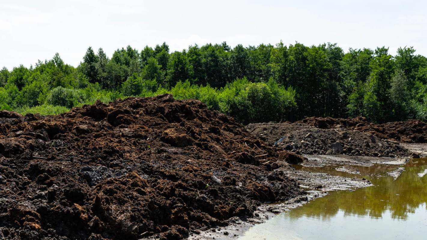 A landscape featuring piles of dark soil and a muddy area bordered by lush green trees under a clear sky.