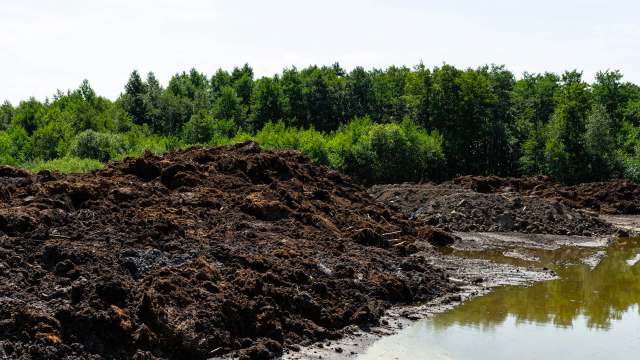 A landscape featuring piles of dark soil and a muddy area bordered by lush green trees under a clear sky.