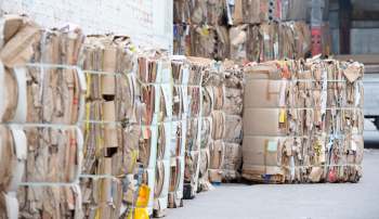 Rows of bundled cardboard bales in a recycling facility.