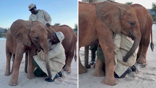 Two people affectionately interact with a young elephant on a sandy ground.