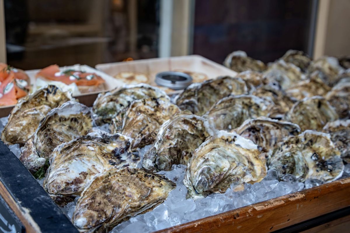 A display of fresh oysters on ice.