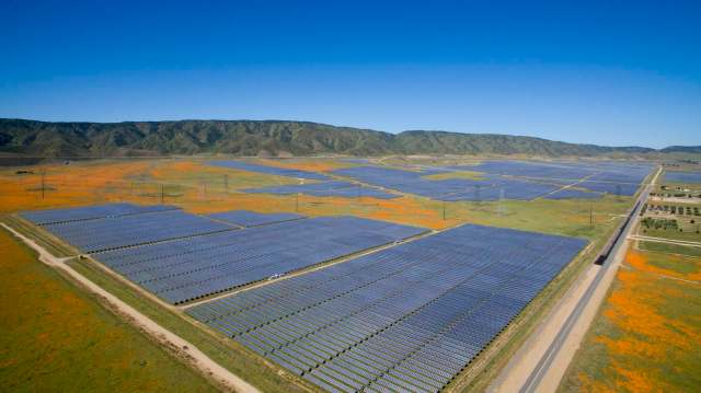 A solar farm with numerous panels set against orange wildflowers and rolling hills.