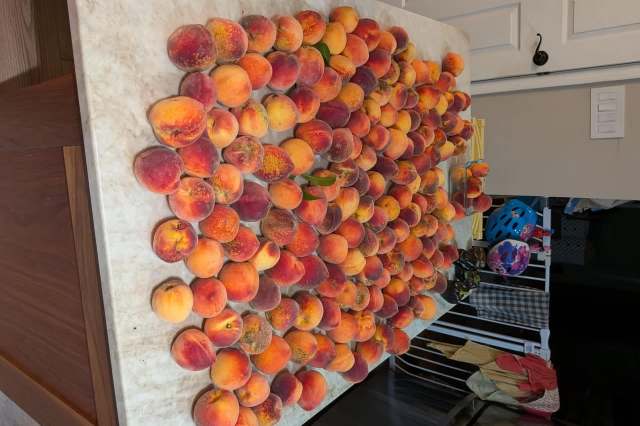 A large collection of ripe, colorful peaches arranged on a countertop.