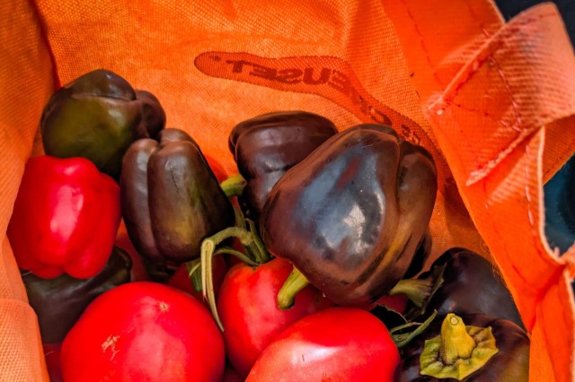 Amish Paste tomatoes and peppers in a fabric bag.