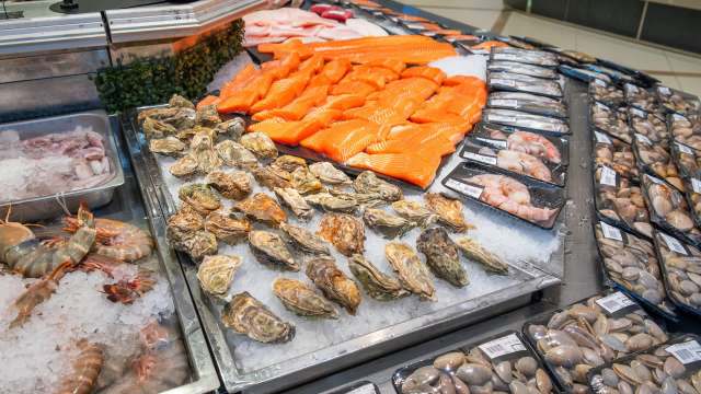 A seafood display featuring fresh salmon, oysters, shrimp, and various shellfish on ice.