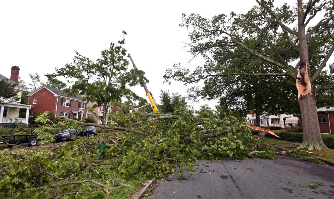 A tree blocking a residential street.