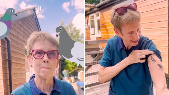 A woman with short hair and glasses gestures toward two bird tattoos on her arm, with cartoon pigeons in the background.