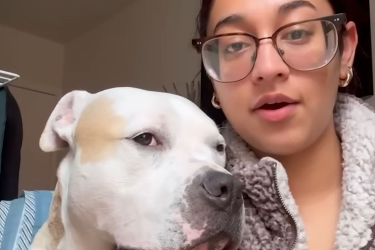 A woman and Bunny, a pitbull.