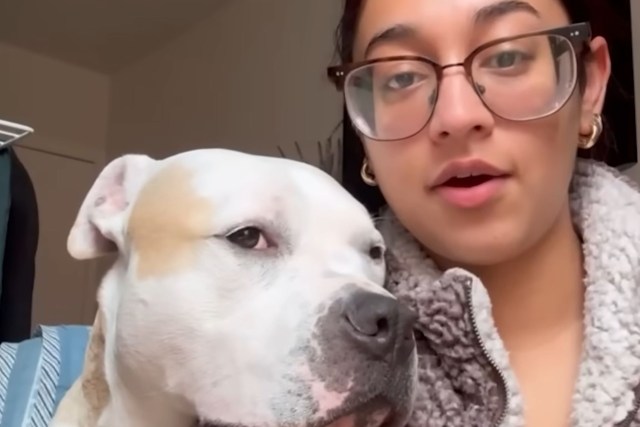 A woman and Bunny, a pitbull.