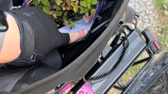 A hand securing a plant in a bicycle’s storage compartment.