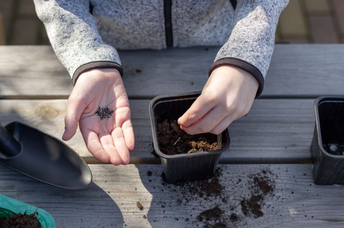 A child planting seeds.