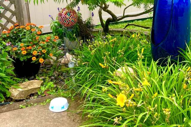 A garden featuring orange and yellow flowers.