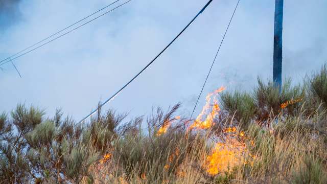 Flames engulf dry brush near a power pole, with smoke billowing into the sky.