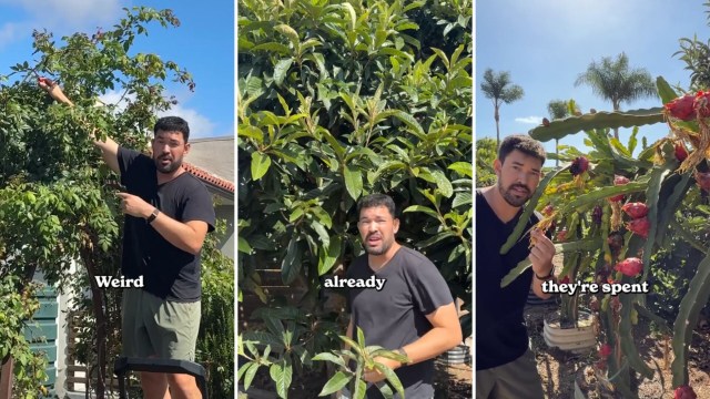 A man stands next to various plants.