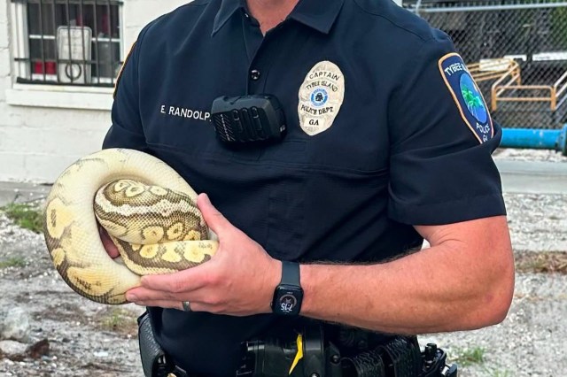 An officer holding a ball python.