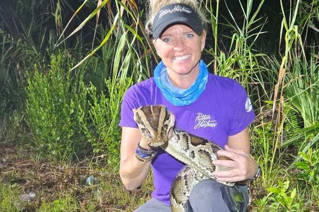 A woman wearing clothing with the Python Huntress logo holds a large snake in a grassy area surrounded by vegetation.