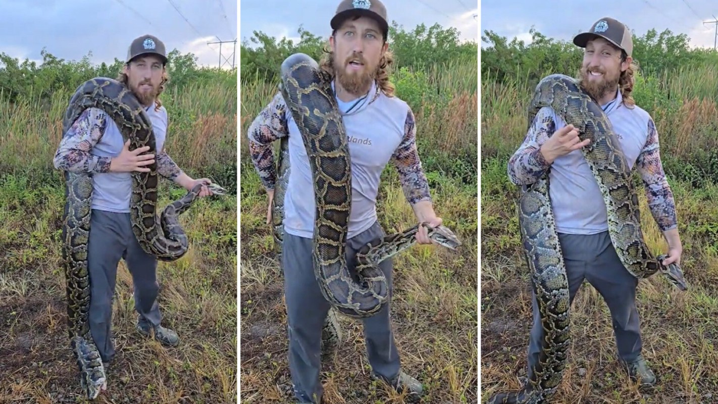 A person in a cap holds a large snake around their shoulders in a grassy outdoor setting.