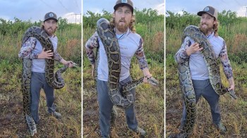 A person in a cap holds a large snake around their shoulders in a grassy outdoor setting.