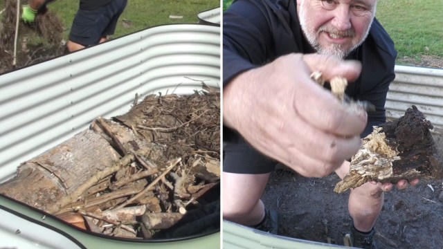 A gardener adding organic material to a raised bed.