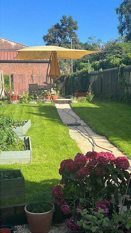 A yard with raised garden beds, potted  plants, and flowers. 