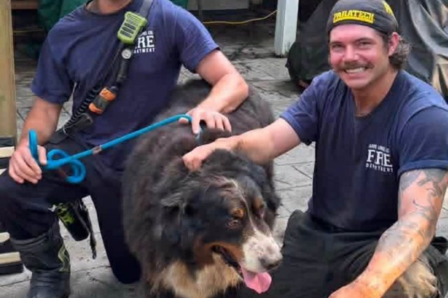 Two firefighters rescuing a large dog.