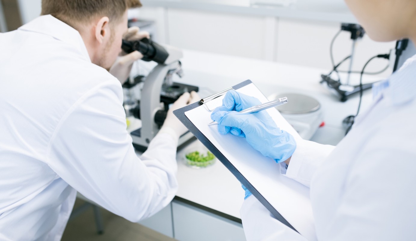 Researchers in a lab.