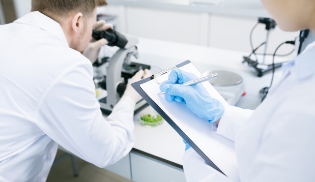 Researchers in a lab.