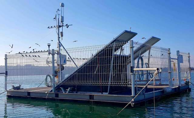 A floating platform with solar panels and birds perched on a fence, surrounded by calm water and clear skies.