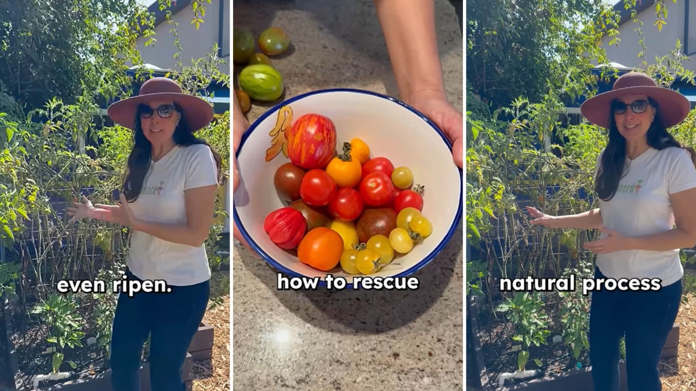 A woman talking about tomato plants.