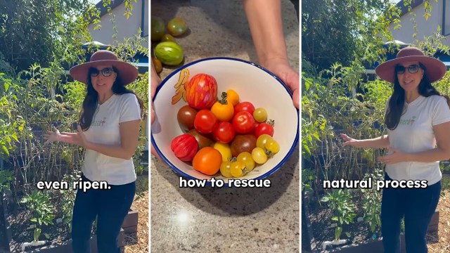 A woman talking about tomato plants.