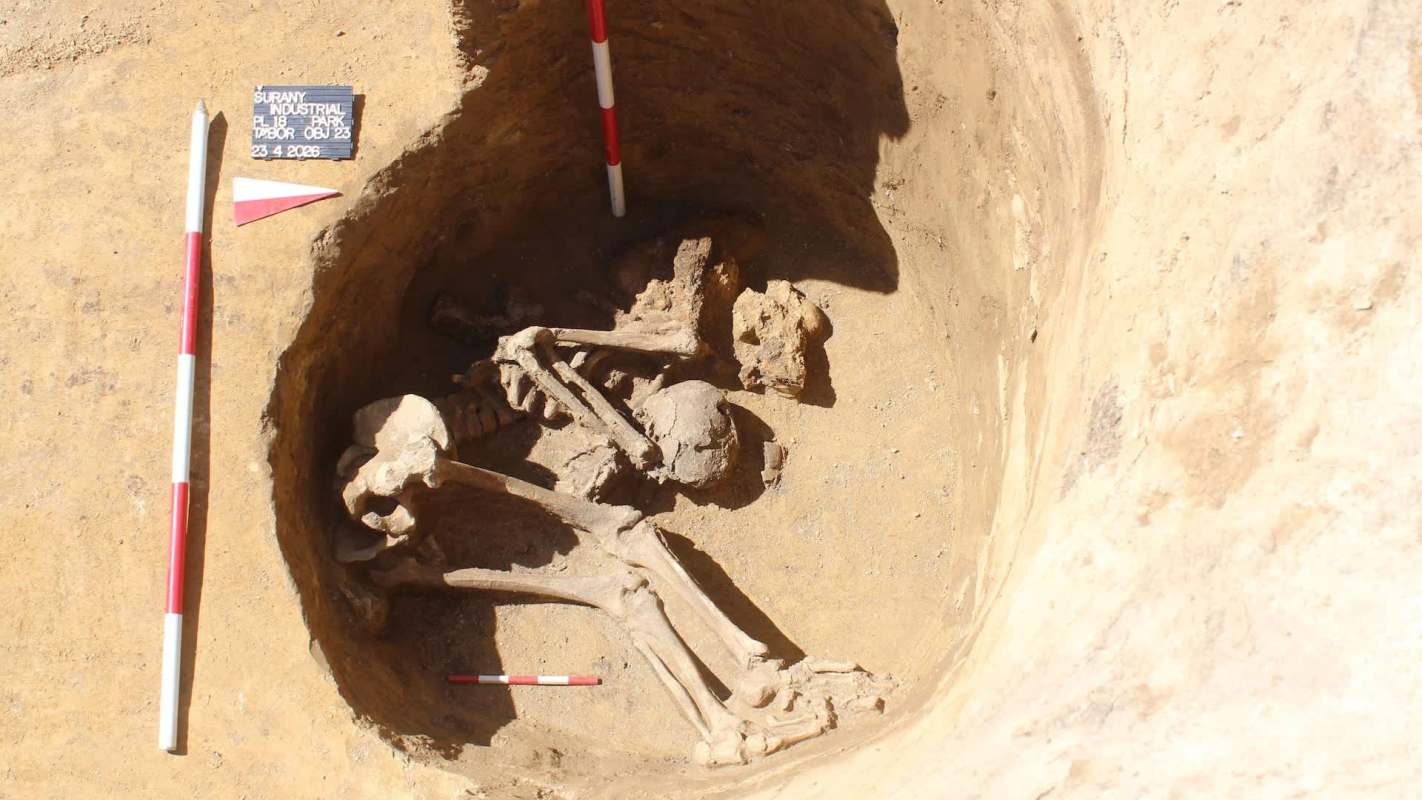 A skeleton is partially excavated in a trench, with measurement tools nearby.