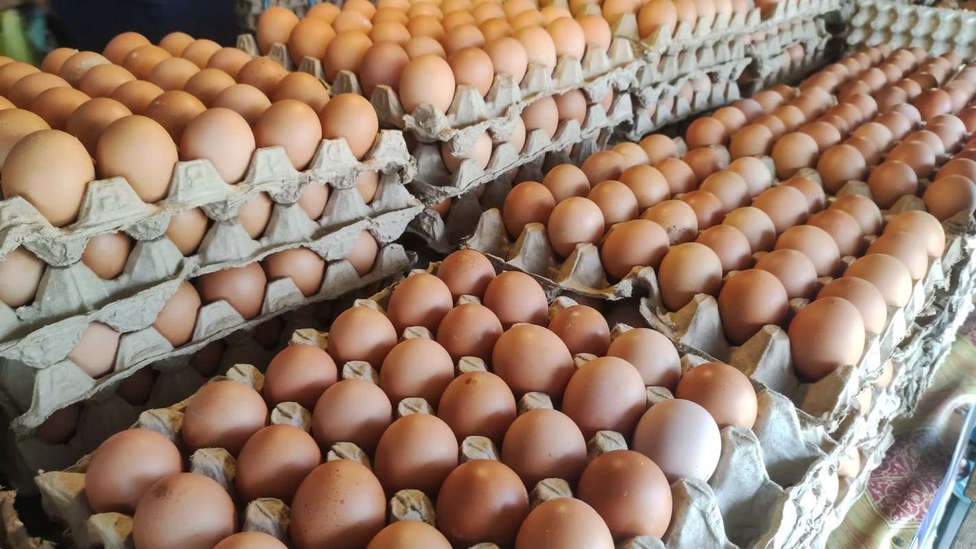 Eggs arranged in multiple cartons stacked on a surface.