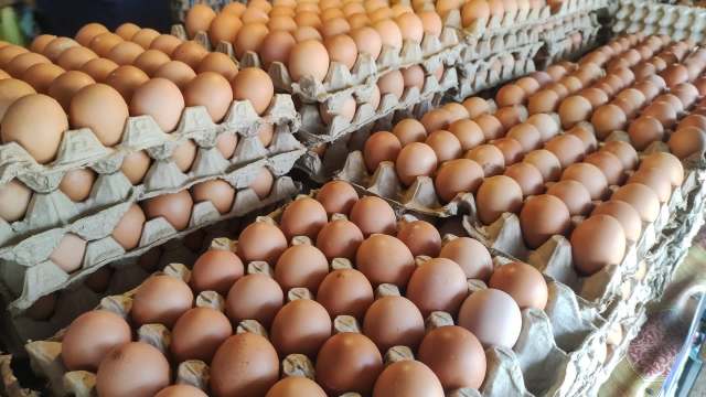 Eggs arranged in multiple cartons stacked on a surface.