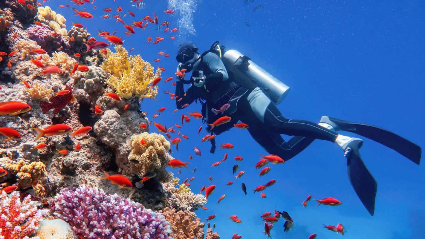 A diver explores a vibrant coral reef surrounded by colorful fish in clear blue water.