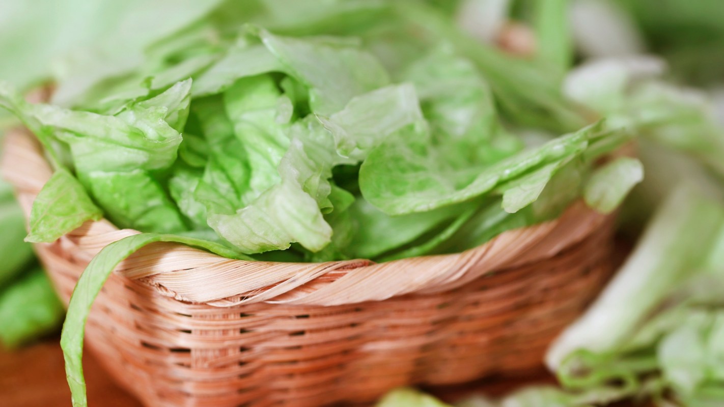 A basket filled with lettuce.