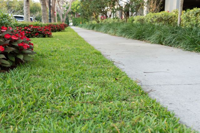 A well-maintained sidewalk lined with flowers and grass.
