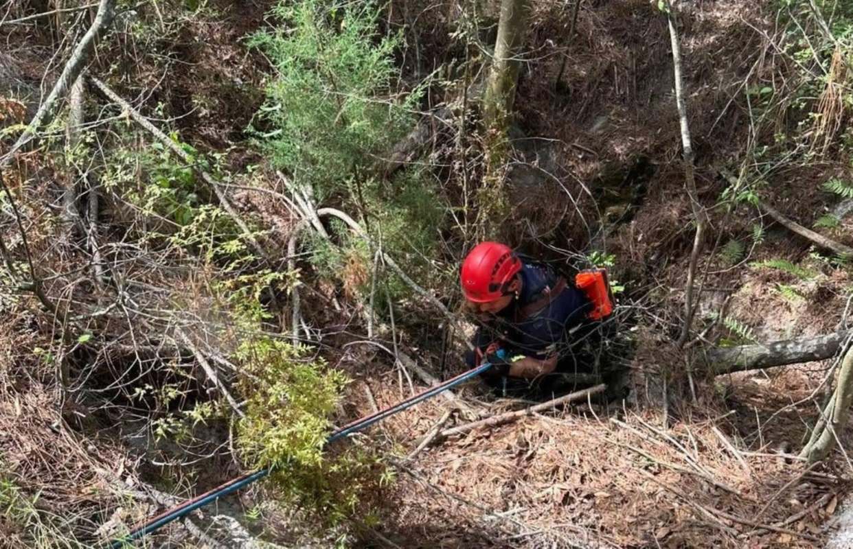 A rescue worker in a red helmet uses gear to navigate through a sinkhole within dense underbrush in a wooded area.