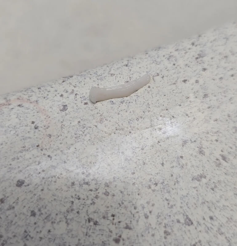 A small white worm-like creature on a white background.