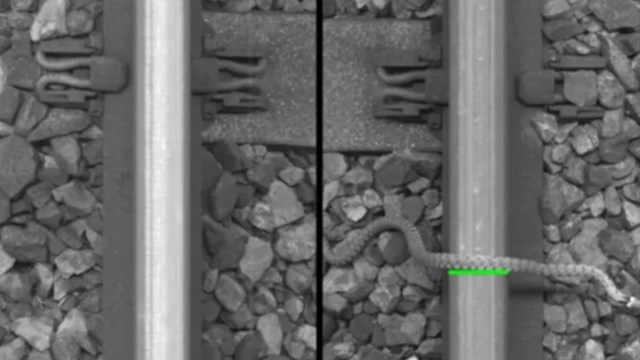 A snake is slithering along railway tracks over gravel.