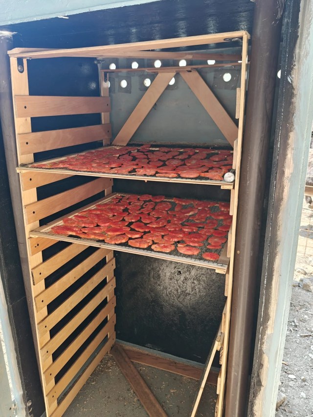 A drying chamber in a solar dehydrator. 