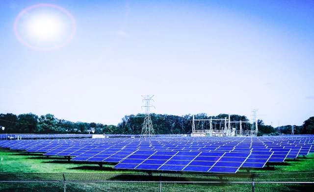 A solar panel farm.
