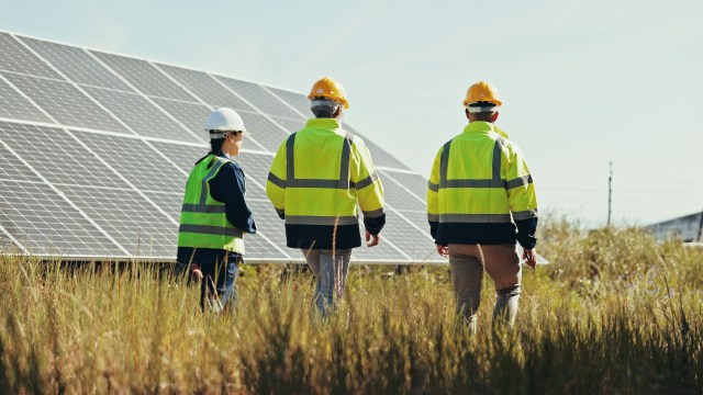 Three technicians in safety gear walk through a field with solar panels.