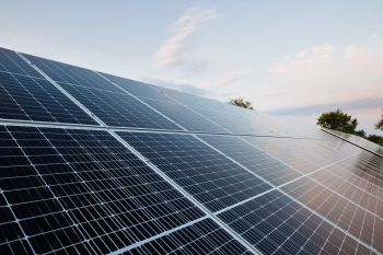Solar panels in a field.