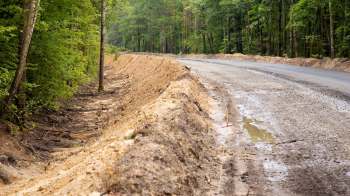 A recently cleared road lined with dirt and trees in a forested area.