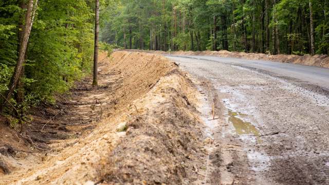 A recently cleared road lined with dirt and trees in a forested area.
