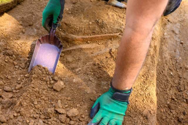 An archaeologist digging in dirt.